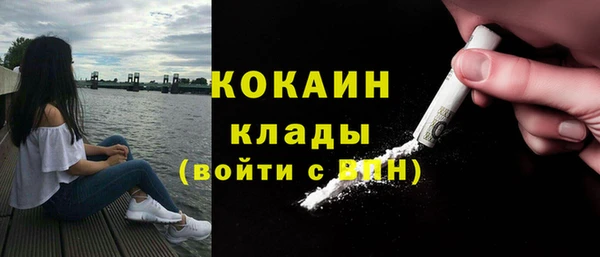 шишки Лихославль