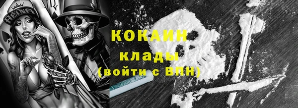 шишки Лихославль