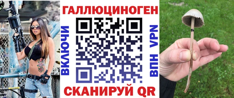 Псилоцибиновые грибы GOLDEN TEACHER  omg сайт  Саранск 