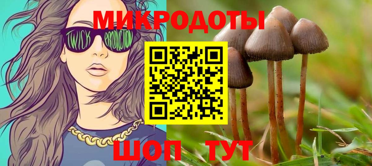 Саранск  Псилоцибиновые грибы прущие грибы  Вход с VPN 